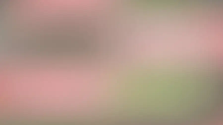 Grainy Gradient desktop wallpaper 16