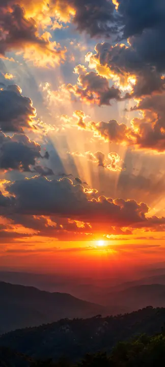 Sunset phone wallpaper 5