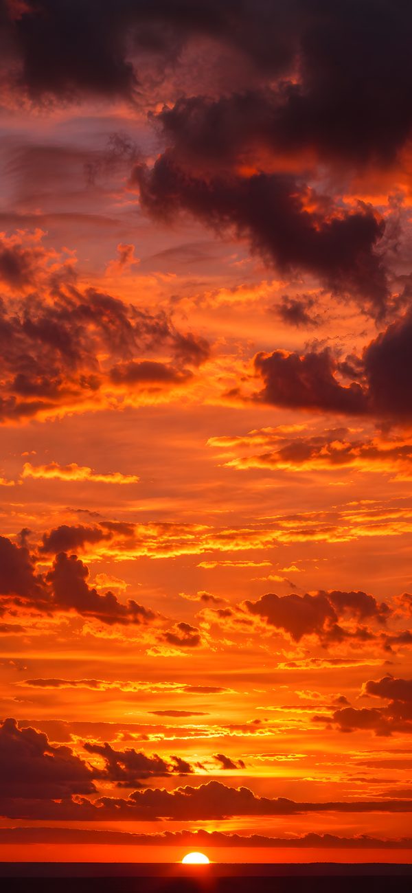Sunset phone wallpaper -- the sun on the sea horizon under orange cloud, free 1290x2796 download